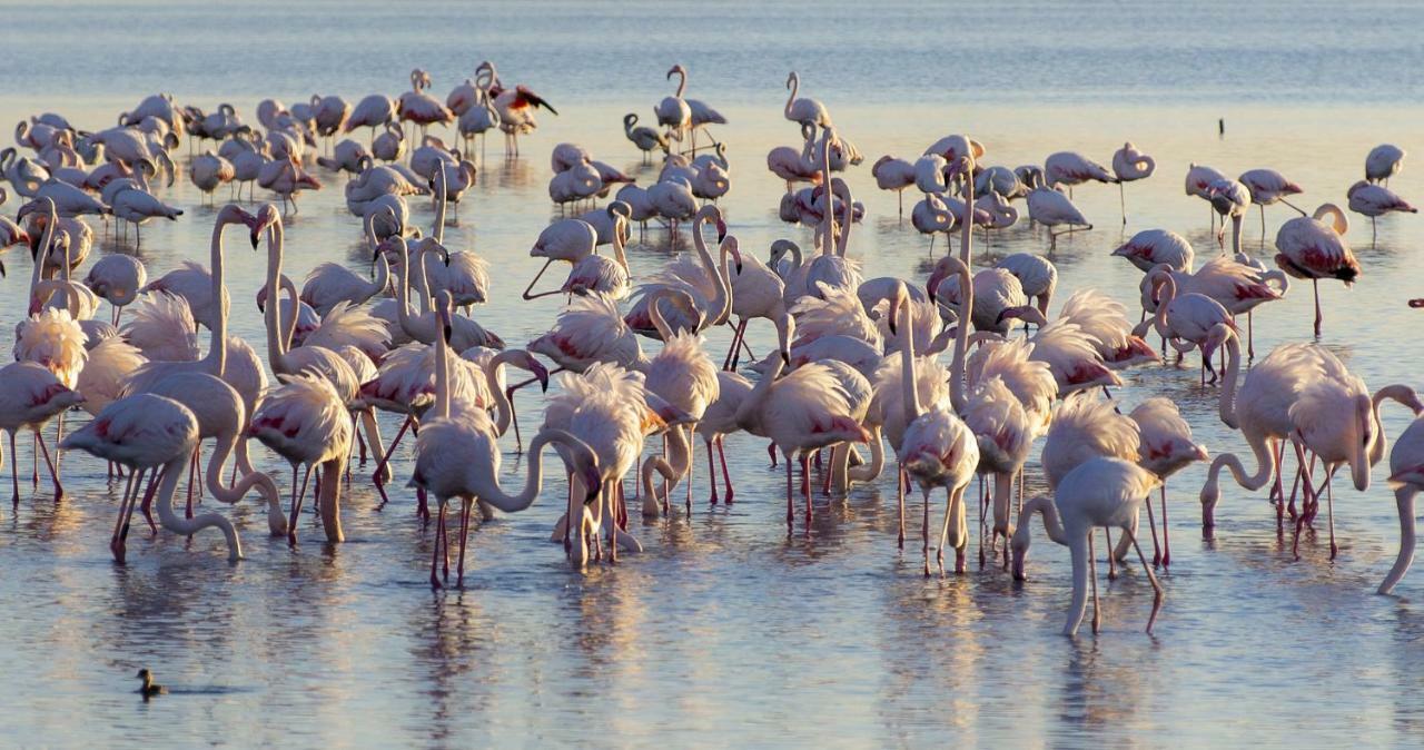 Appartamenti In Villa Lugnan Grado Kültér fotó